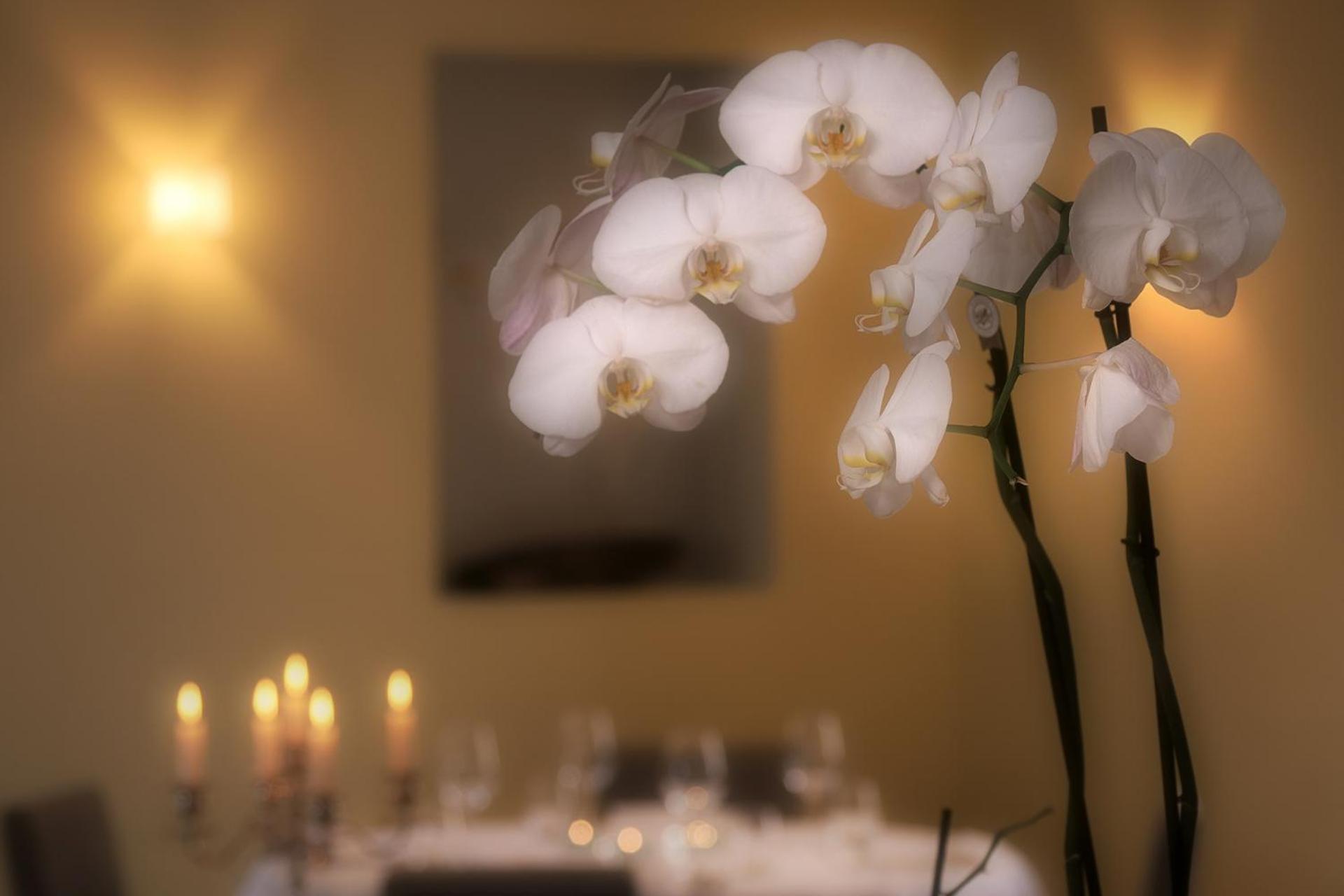 Ristorante Charme Hotel Tre Terre Ponte Brolla Eksteriør bilde