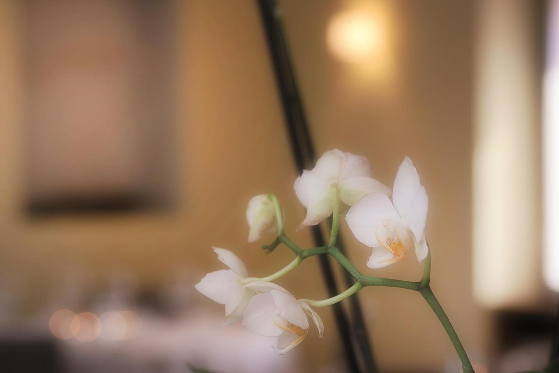 Ristorante Charme Hotel Tre Terre Ponte Brolla Eksteriør bilde